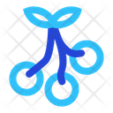Berries  Icon
