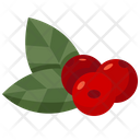 Berries Fruit Berry Icon
