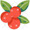 Berries Icon