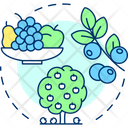 Berries Fruit Desert Icon
