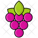Berry Fruit Grape Icon