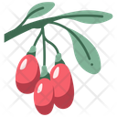 Berry Fruit Goji Icon