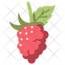 Fruit Berry Food Icon