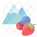 Berry  Icon