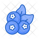 Berry Fruit Food Icon