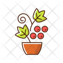 Berry Shrubs And Vines Icon