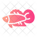 Betta Fish  Icon