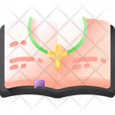 Bible Icône