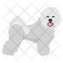 Bichon Frise Icon