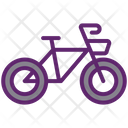 Bicycle Cycling Cycle Icon