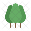 Big Tree Icon