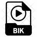 BIK file Icon
