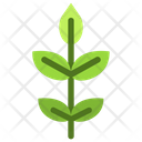 Bilberry  Icon