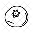 Bilberry  Icon