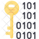 Binary Key Icon