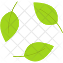 Biodegradable Icon
