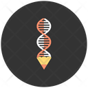 Biological Dna Icon