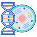 Biology Dnagene Genetic Cell Icon