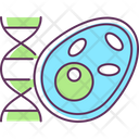 Biology Cell Dna Icon