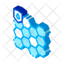 Absorbent Absorbing Biometrical Icon