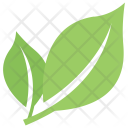 Bipartite Divided Twig Icon