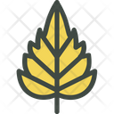 Birch Icon