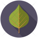 Birch Tree Nature Icon