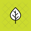 Birch Beech Nature Icon