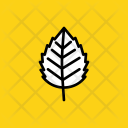 Birch Nature Leaf Icon