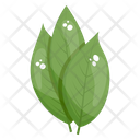 Birch Leaves Eco Leaves Plant Leaves Icon