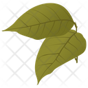 Birch Leaves Icon