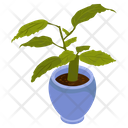 Birch Pot Icon