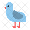 Bird  Icon