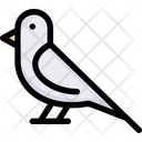 Bird Icon