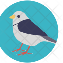 Bird Dove Peace Icon