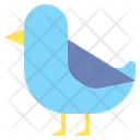 Bird Icon