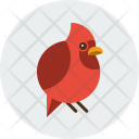Bird  Icon