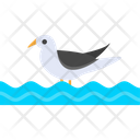 Bird  Icon