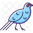 Bird blue Icon