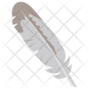 Feather Plumage Plume Icon