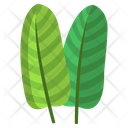 Bird Of Paradise Leaf Icon