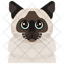 Birman Cat Icon