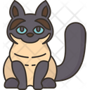 Birman Cat Fur Icon