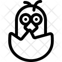 Birth  Icon