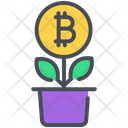 Bitcoin Digital Growth Icon