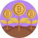 Bitcoin Investment Icon