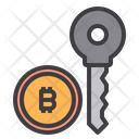 Key Money Bitcoin Cryptocurrency Bitcoin Key Secure Bitcoin Icon