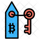 Bitcoin Keychain Icon