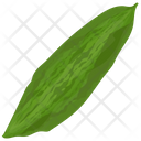 Bitter Gourd Vegetable Food Icon