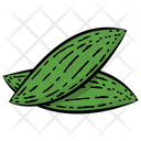 Bitter Gourd  Icon